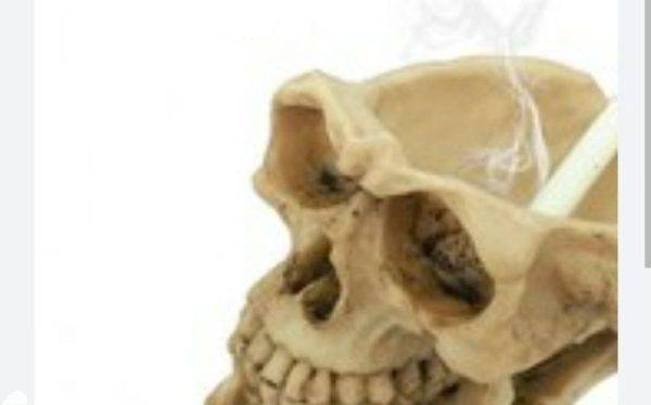 قالب سیلیکونی سنگ مصنوعی سان سیلیکون طرح زیرسیگاری جمجمه۰۲۳